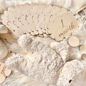 Baby Milestone Cards Clouds set- Baby Shower Gift- Newborn Photography Prop, Baby Photos Cards Cloud