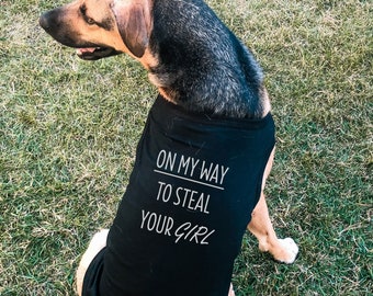 I/'m still single Mr Steal Your girl Valentines Dog Bandana **** Choose your Style My Valentine