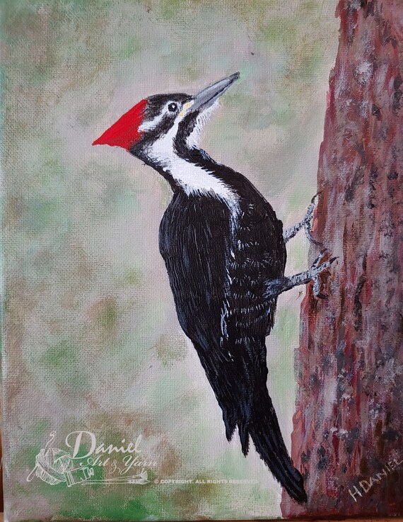 Pileated Woodpecker 8x10 Acrylic Painting Etsy