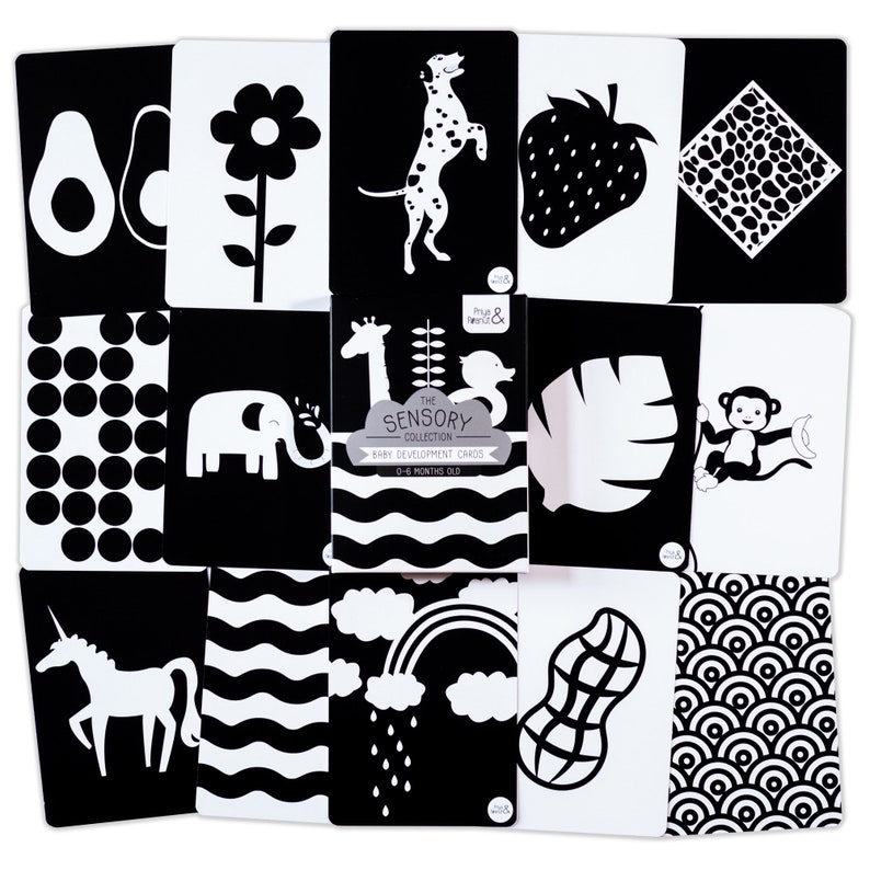 60 Black & White High Contrast Baby Development Flash Cards Etsy