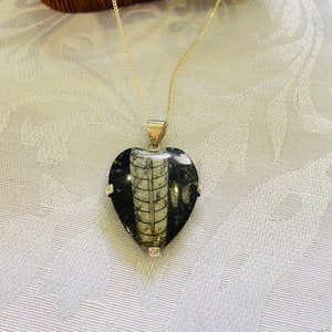 Fossil Orthoceras pendant set in sterling silver