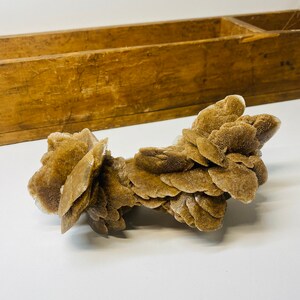 Desert Rose Gypsum