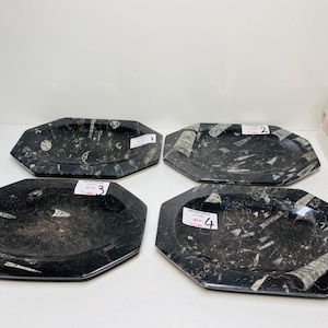 May include: Four black fossil trays, octagonal in shape. The polished surfaces display white and grey fossil imprints. Each tray has a small white label with a number. The trays are ideal for displaying small items.