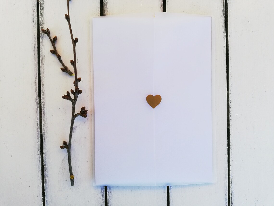 Vellum Wrap Vellum Jacket 5x7 Transparent Vellum Wedding Etsy