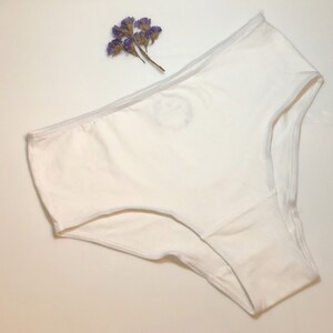 May include: White cotton underwear with a simple design. The underwear has a wide waistband and a low rise.