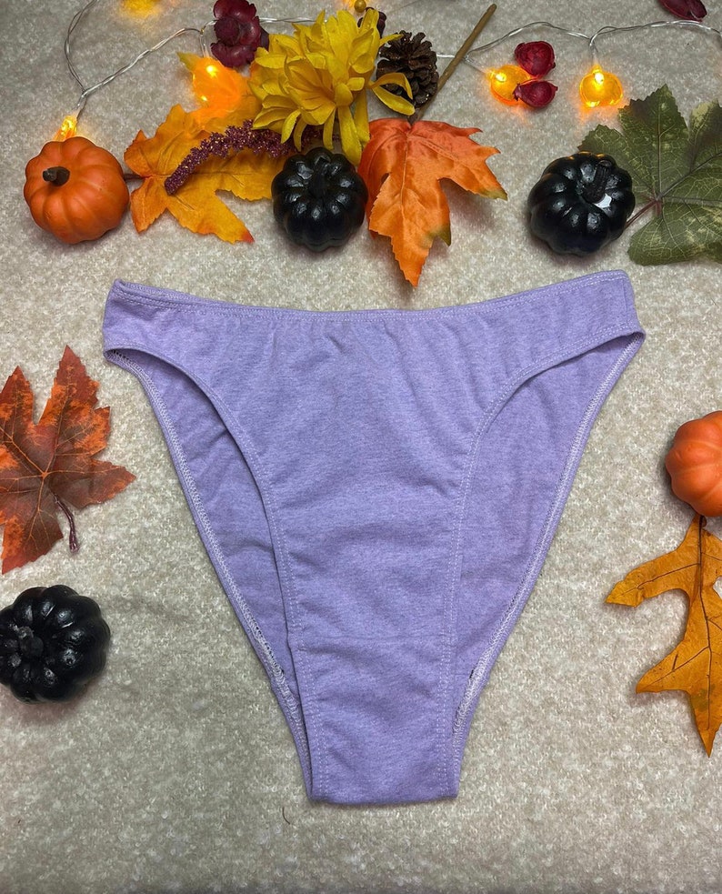 May include: A pair of purple cotton underwear with a high leg cut.