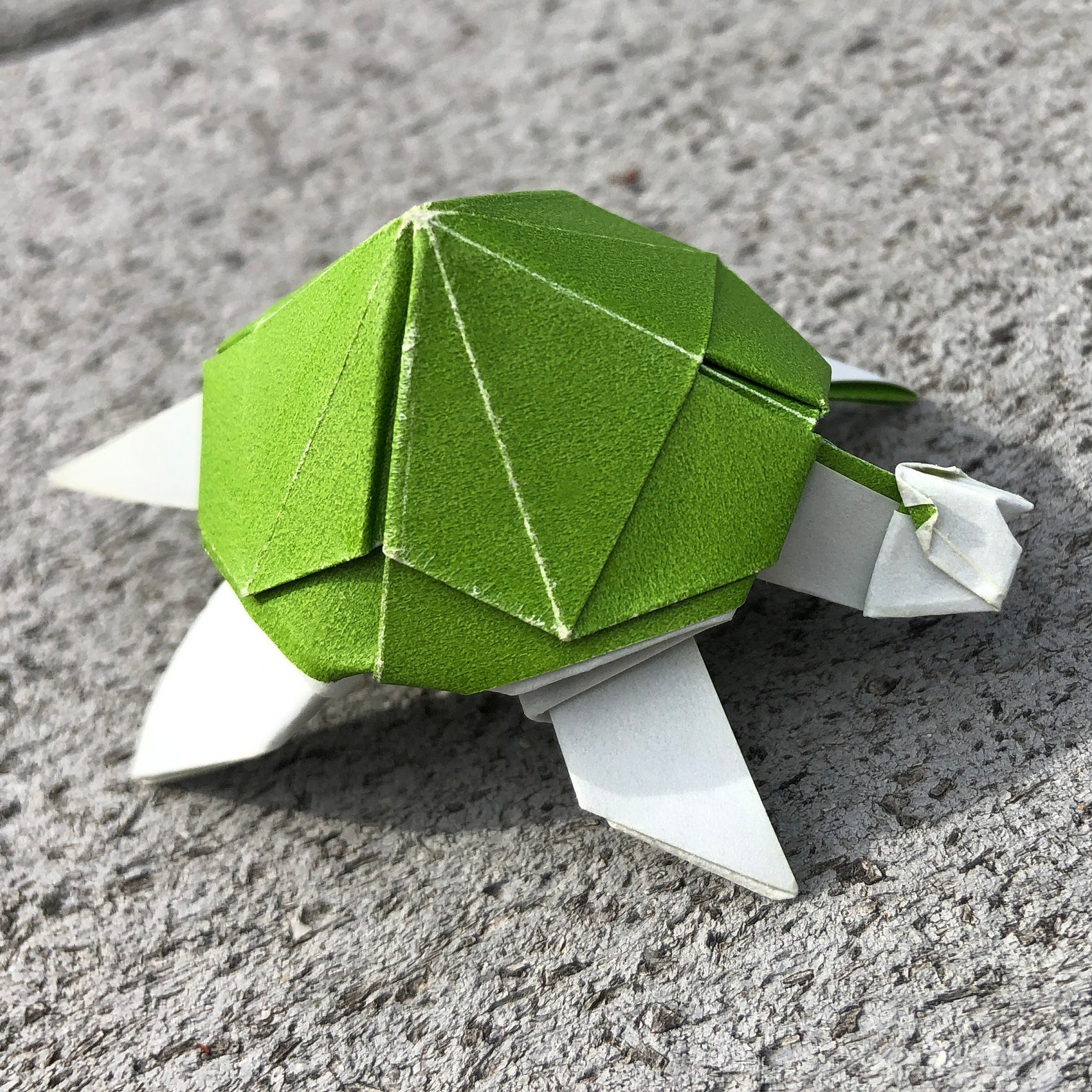 Tortuga Origami Etsy