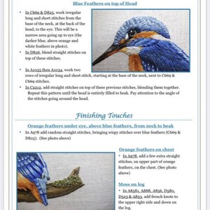 May include: A close-up of a kingfisher embroidery pattern with detailed instructions for stitching the blue feathers on the head, orange feathers under the eye, and moss on a log. The instructions include stitch types, thread colours, and placement details.