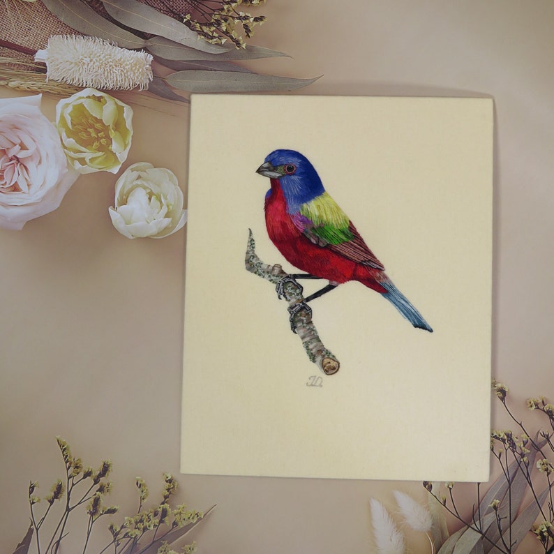 Hand Embroidery PDF pattern of a Painted Bunting Bird, instant download. image 7