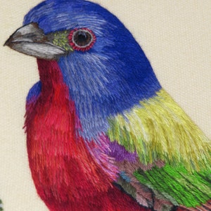 Hand Embroidery PDF pattern of a Painted Bunting Bird, instant download. image 5