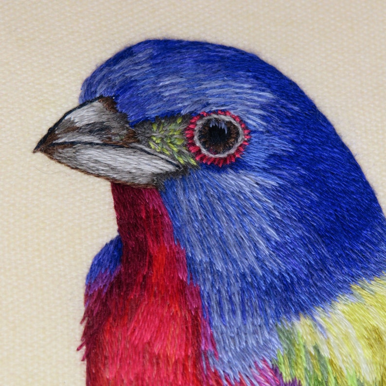 Hand Embroidery PDF pattern of a Painted Bunting Bird, instant download. image 4