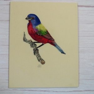 Hand Embroidery PDF pattern of a Painted Bunting Bird, instant download. image 9