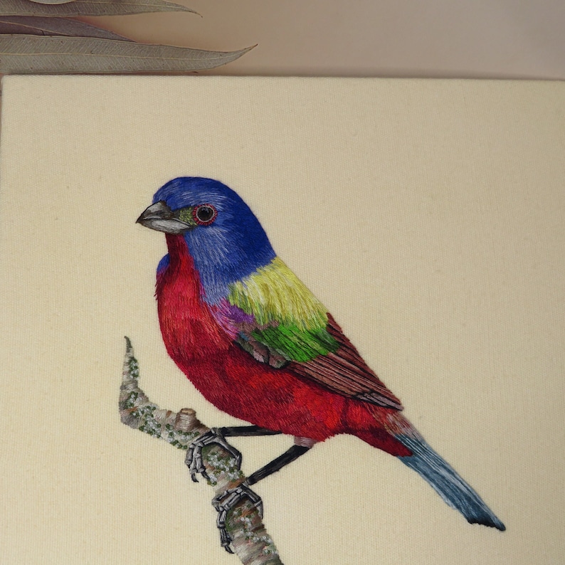 Hand Embroidery PDF pattern of a Painted Bunting Bird, instant download. image 8