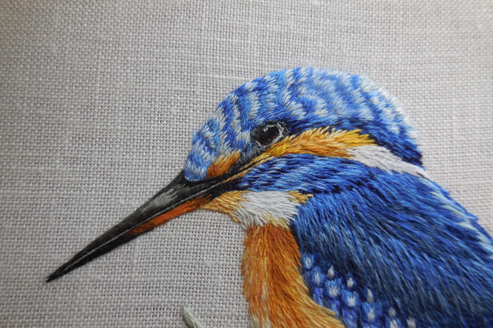 Kingfisher Embroidery PDF Pattern Digital Download Etsy