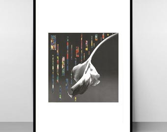 Mappleflower – Contemporary minimalist floral art print, signed limited edition wall poster