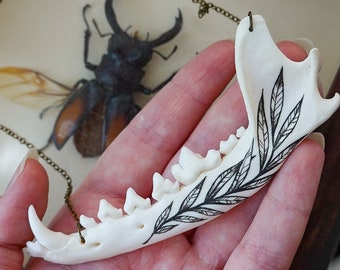 Red Fox jawbone necklace
