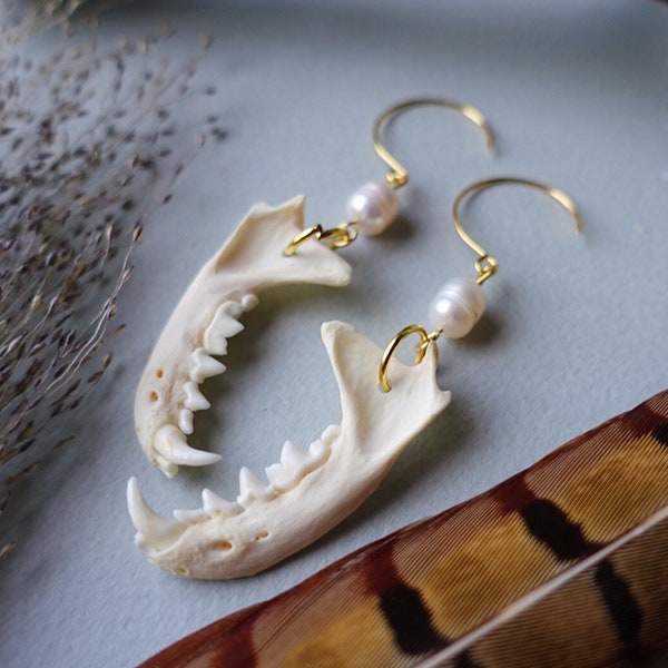 Pendientes elegantes de mandíbula de visón con perlas reales, pendientes de mandíbula, joyas de la naturaleza, joyas de dientes, dientes, cosas de brujas, arte óseo, joyas de calavera