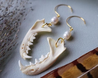 Elegance Mink Jaw Earrings wiht real pearls, jawbone earrings, nature jewellery, teeth jewelry, tooth, witchy stuff, bone art, skull jewelry