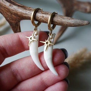 Elegance Red Fox Fang Earrings, canine tooth earring, tooth earring, fang jewelry, bone earring, canine jewelry, fox canine tooth earring