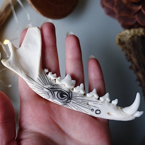 Hand painted red fox jaw