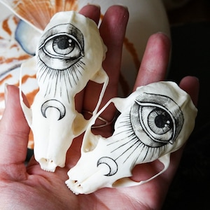 Hand painted skull of marten