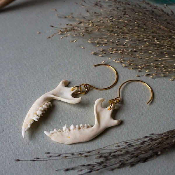 Elegance Hedgehog Jaw Earrings, real bone jewelry, boho jewelry, jaw earrings, taxidermy earrings