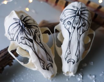 Hand painted marten skull