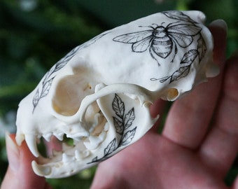 Hand painted skull of marten