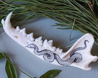 Hand-Painted red fox jaw