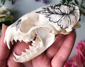 Hand painted skull of marten - home decor, cabinet de curiosity, skull art, gothic home decor, vulture culture, animal skull, gothic decor