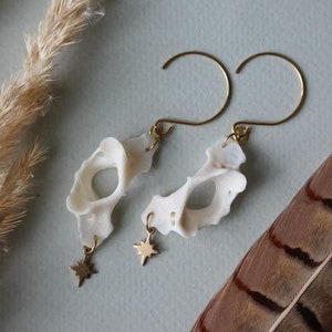 Elegance Marten atlas vertebrae Earrings