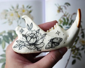 Hand Painted Red Fox Skull: Gothic Floral Home Decor - Etsy