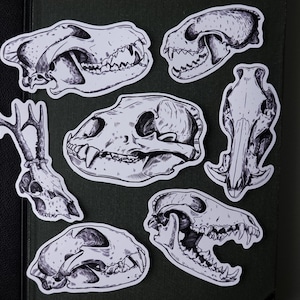 Schädel Aufkleber: Waldtier Schädel, wasserfester Vinyl-Aufkleber