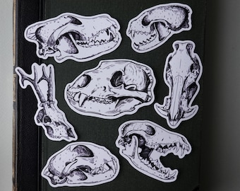 Vinyl stickers pack "Forest animals" - Skull sticker pack - iPad stickers - Waterproof stickers