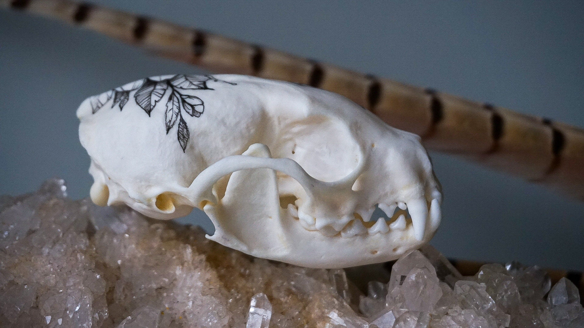 Hand painted skull of marten | Etsy