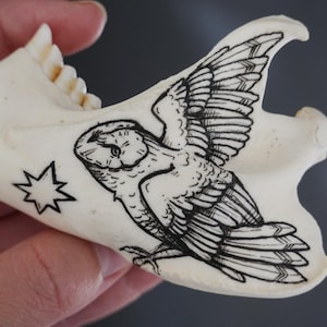May include: An off-white animal jawbone featuring a detailed black ink illustration of an owl with its wings spread wide. To the left of the owl, a small eight-pointed star is drawn in black ink. The bone surface is smooth with visible teeth.