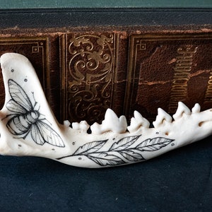 Hand-Painted red fox jaw