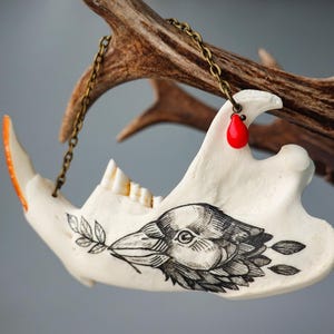 Hand Painted beaver jaw