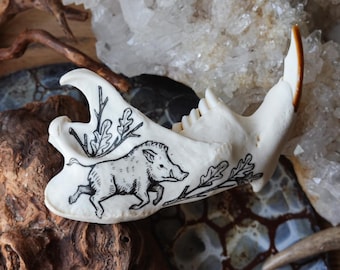 mandíbula de castor pintada a mano