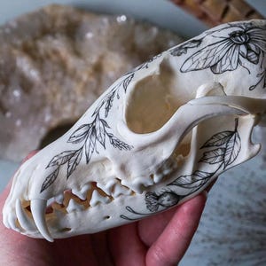 Hand-Painted Red Fox Skull: Gothic Home Decor Art