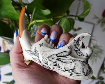 Mandíbula de castor pintada a mano