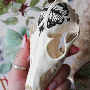 Hand-Painted Red Fox Skull: Gothic Home Decor Art