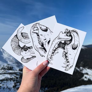 Lot de cartes postales - Lot de 5 cartes postales