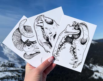 Postcard Set - Pack of 5 postcards