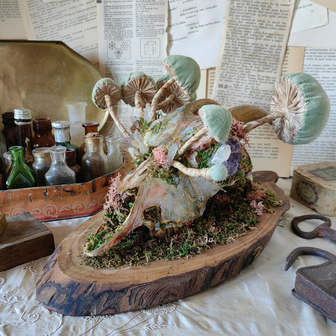 Goat Skull Wall Art, Taxidermy Art, Fabric Mushrooms, Animal Skull