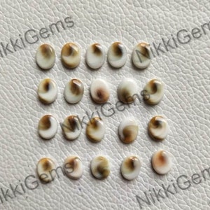 May include: A collection of 18 oval-shaped shell cabochons. The cabochons are white with brown swirls and markings. They are approximately 10mm in length and 7mm in width.
