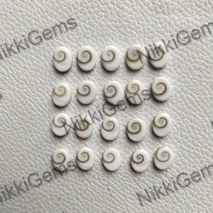 May include: A collection of 18 white oval shell cabochons with brown spiral patterns. The cabochons are arranged in rows on a white textured surface.
