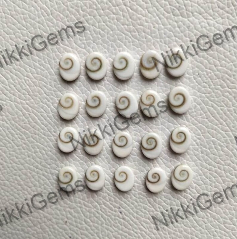 May include: A collection of 18 white oval shell cabochons with brown spiral patterns. The cabochons are arranged in rows on a white textured surface.