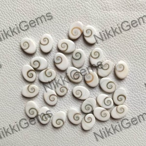 Pode incluir: Uma coleção de cabochões ovais de concha natural branca com um padrão em espiral em tons de marrom e verde.