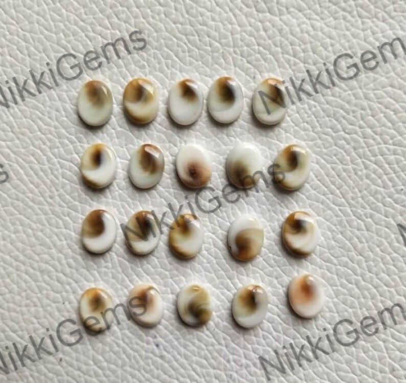 May include: A collection of 18 oval-shaped shell cabochons. The cabochons are white with brown swirls and markings. They are approximately 10mm in length and 7mm in width.